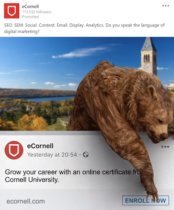 The Thumb Stopper: 3 Traits of Highly Engaging B2B Creative