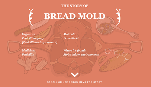 B2B Isn’t Boring. It’s Brilliant.