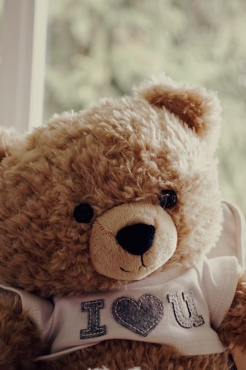 Is Teddy Bear A Good Gift For Your Girl?