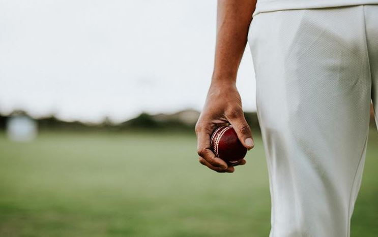 Man holding cricket ball - 4993993