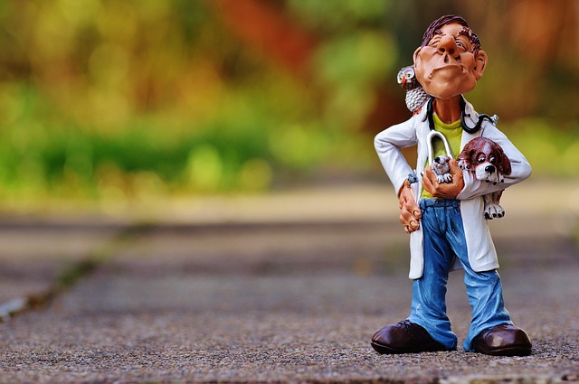 Online Business Ideas for Vets