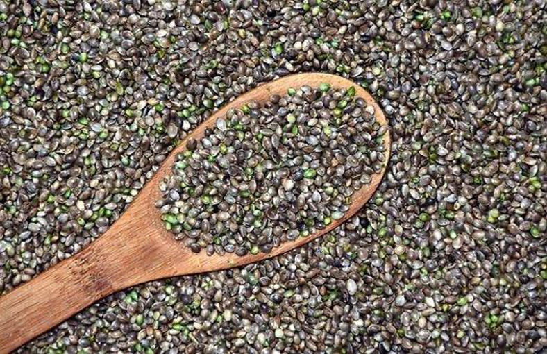 Is it legal to buy cannabis seeds in the US?