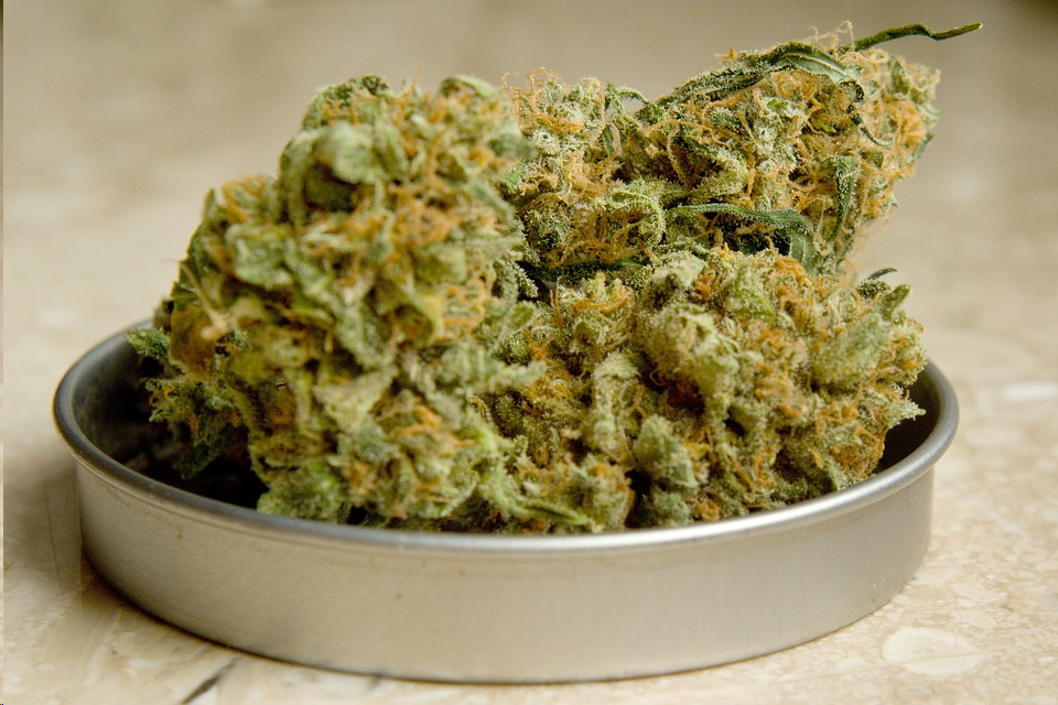 CBD industry