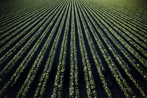 Useful Tips To Effectively Increase Crop Yields