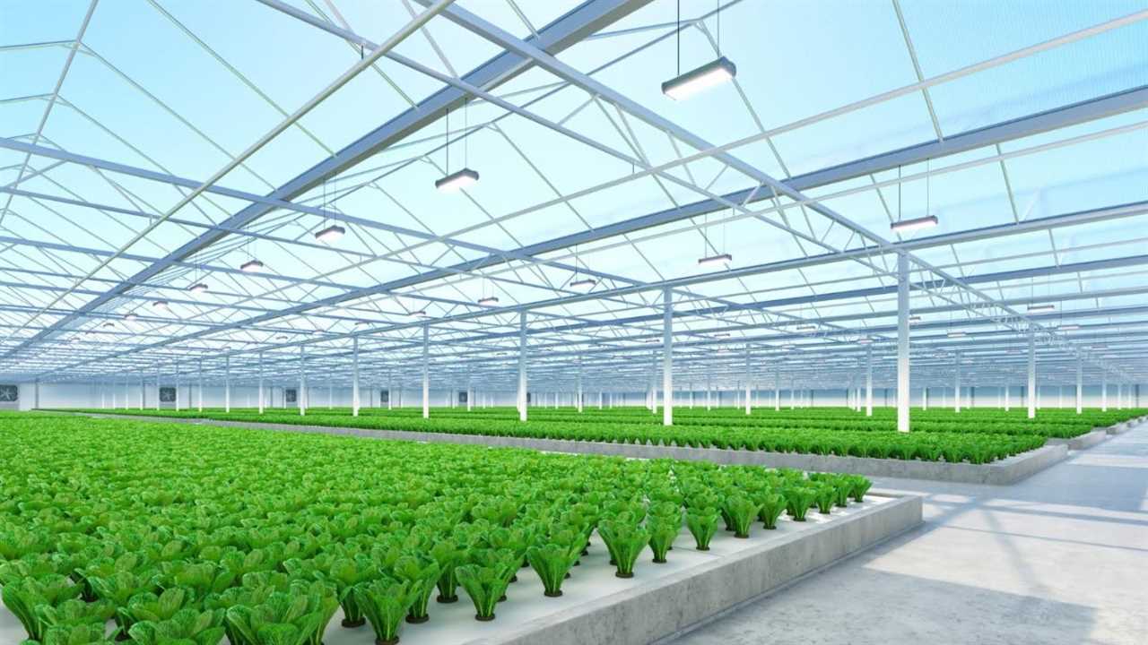 Ways to keep your Hydroponic Reservoir cool