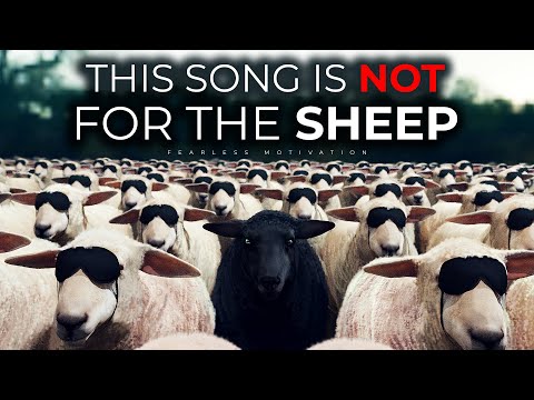 this song is NOT for the SHEEP! (I DARE TO BE DIFFERENT)