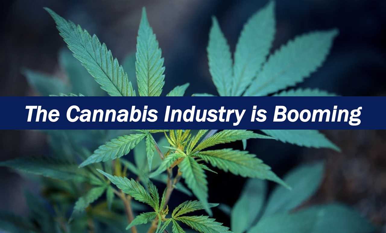 The Cannabis Industry is Growing: Opportunities You Shouldn’t Miss 