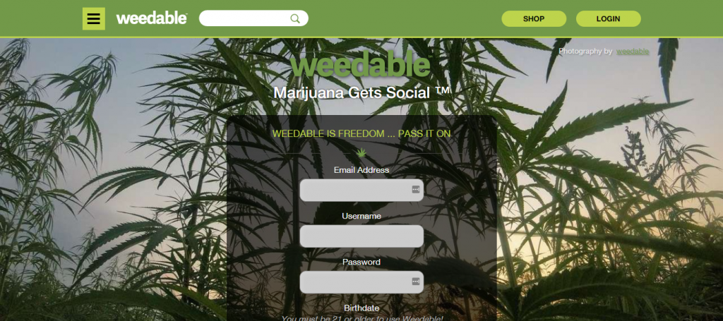 10 of The Best Cannabis Business Social Network of 2021