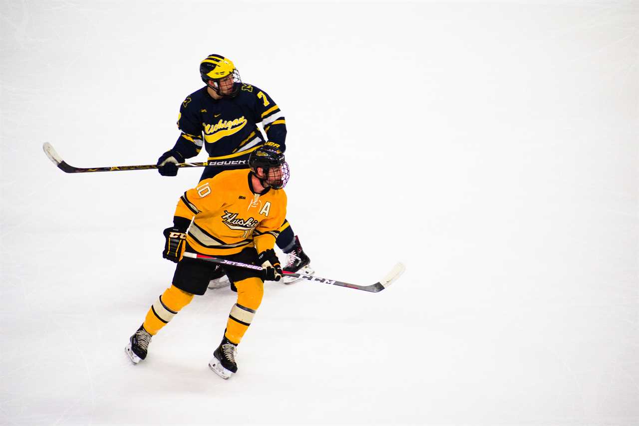 How to Bet the Puck Line: Complete Guide