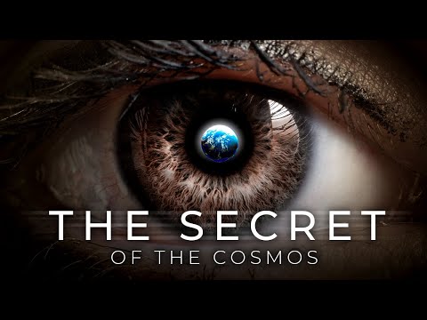 It Will Give You Goosebumps - Neil deGrasse Tyson on The Secret of The Cosmos