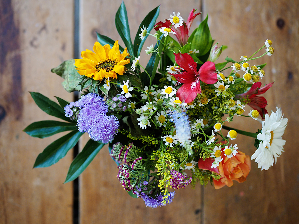 What Are The Most Popular Flowers And Reasons People Send Flowers
