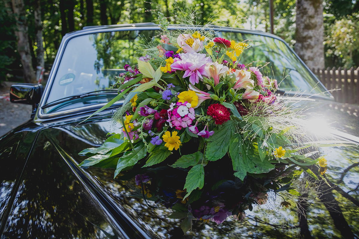 What Are The Most Popular Flowers And Reasons People Send Flowers