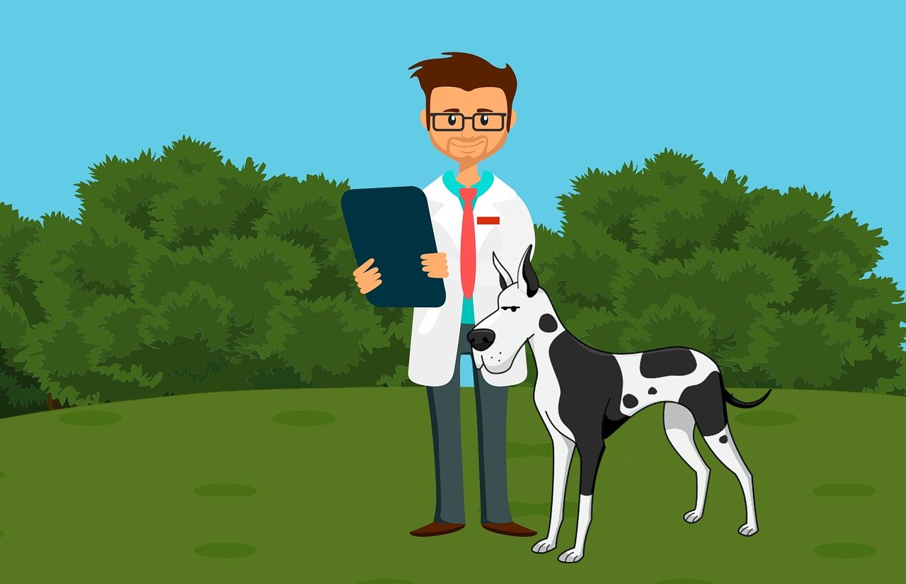 Are Caribbean veterinary schools worth opting for?