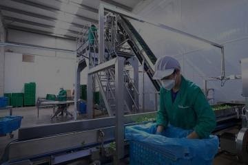 The revolution in foods and drinks packaging machines