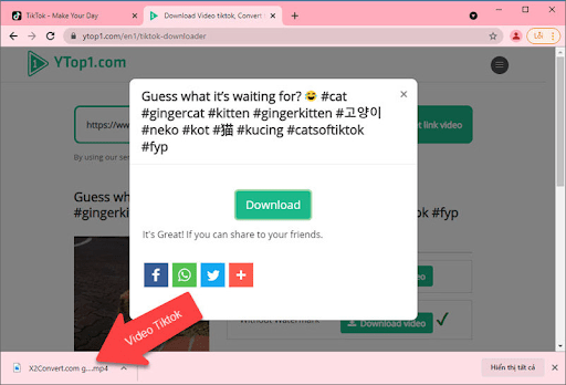 Top 7 ways to download video Tiktok no watermark