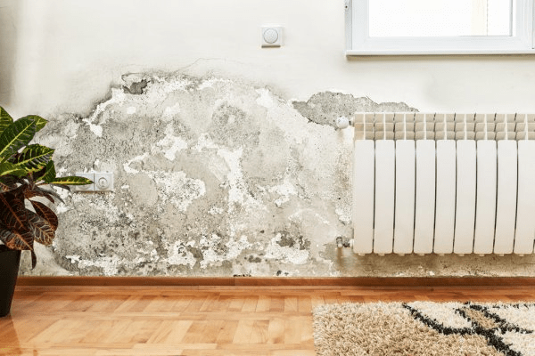 What to do after you find water damage in your home?