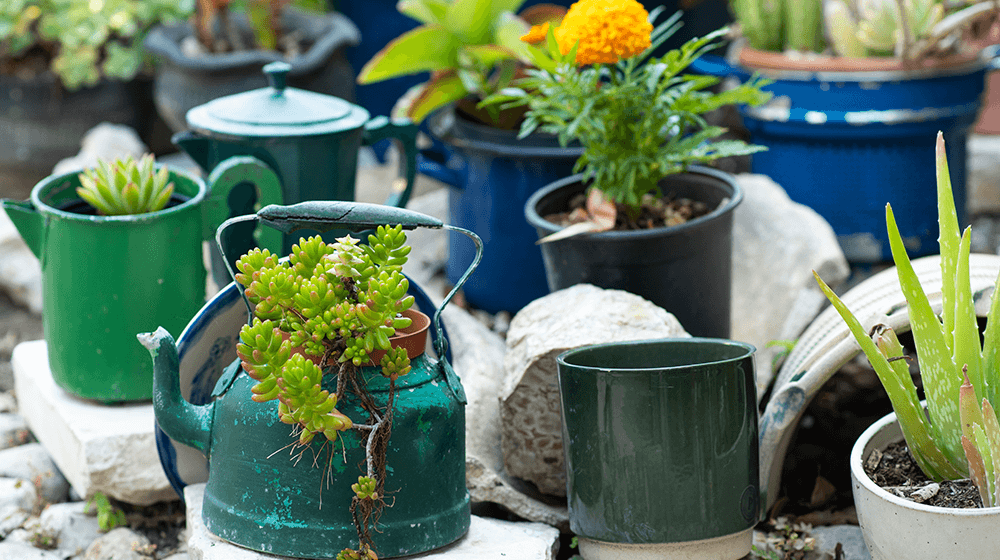 upcycled planters 