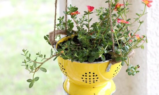 15 Upcycled Planters to Make and Sell