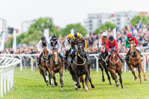 How six favourites triumphed on Sunday at the Dublin Racing Festival