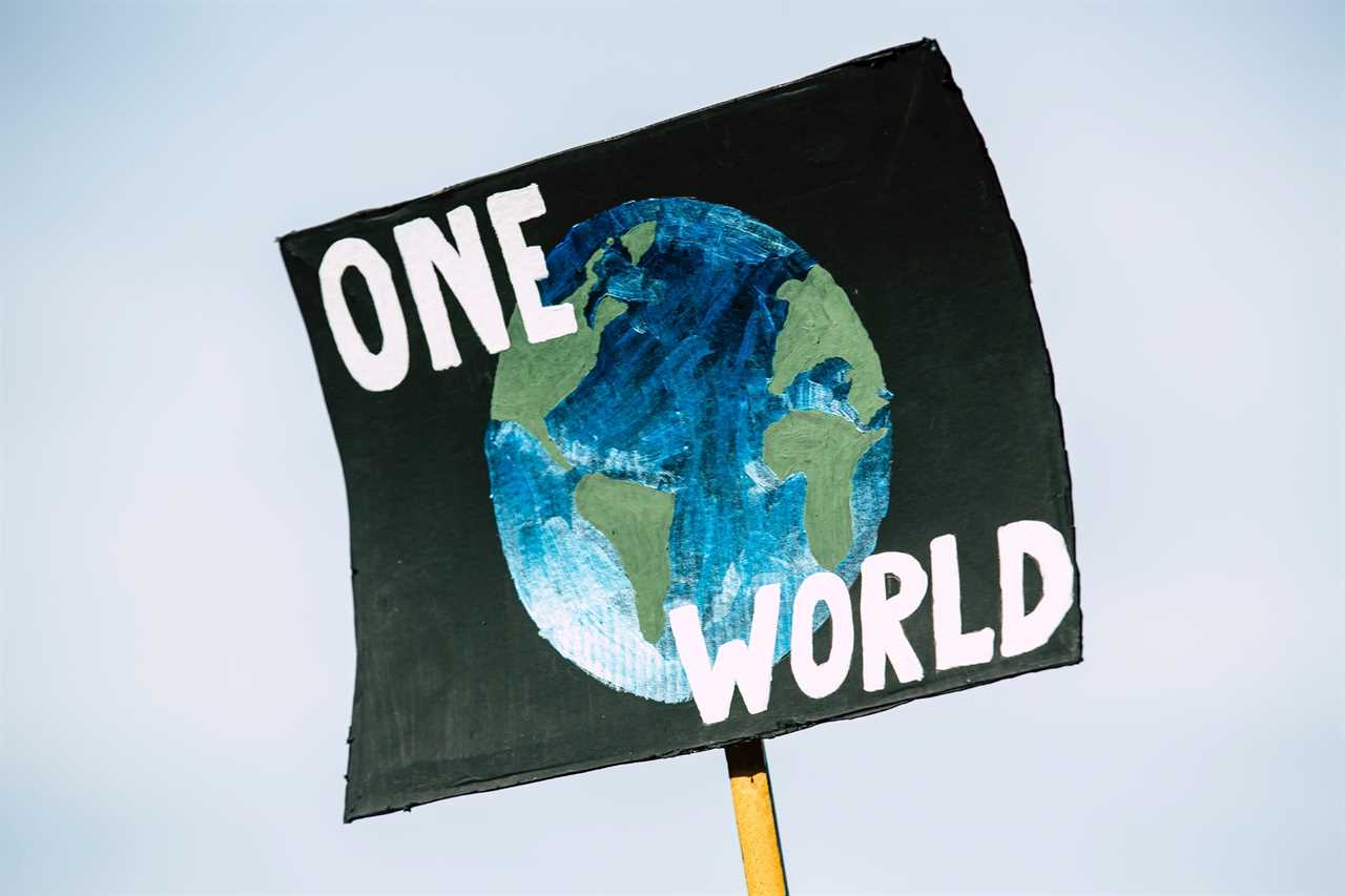 Exploring the role of businesses in environmental protection 