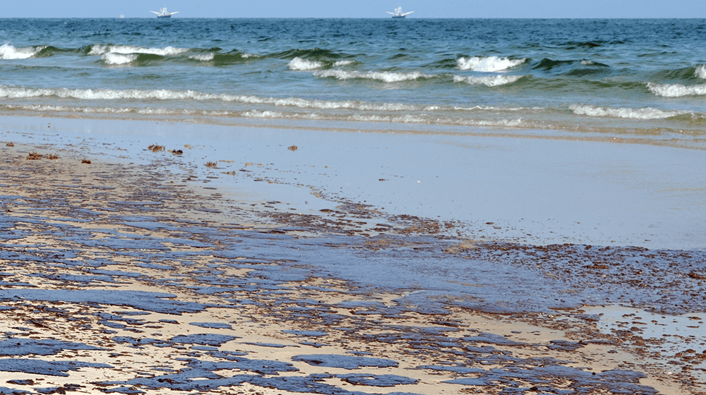 deadline approaching for small businesses in california affected by oil spill