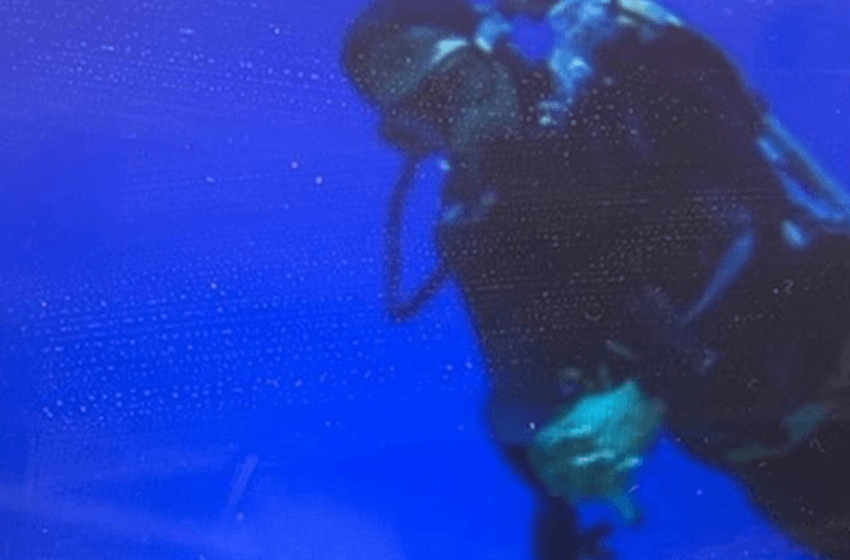 Nationally Recognized Dive Center Adventure Business