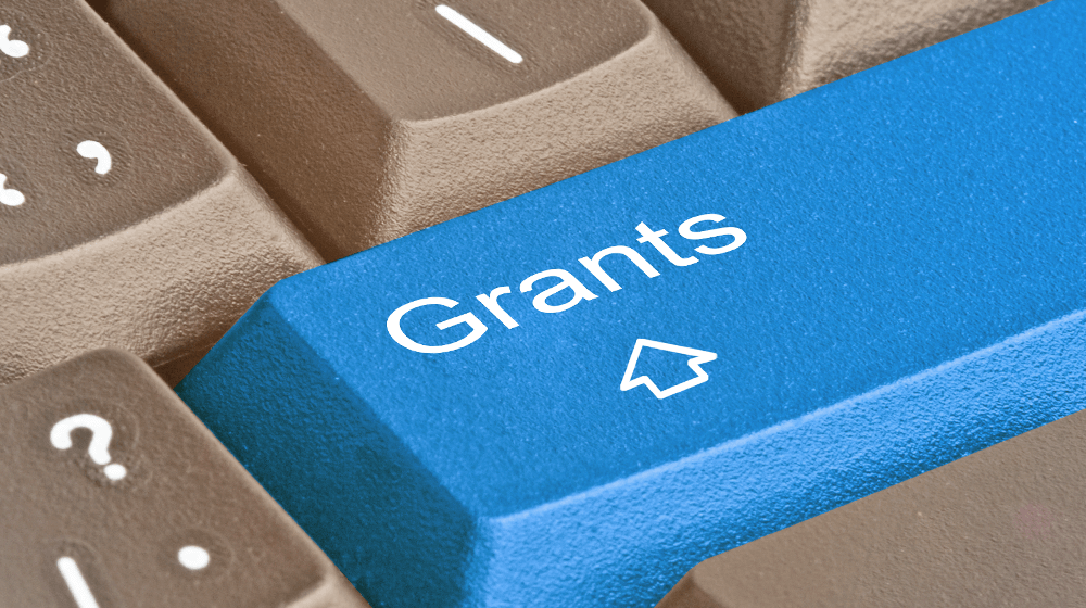 grants with an august deadline