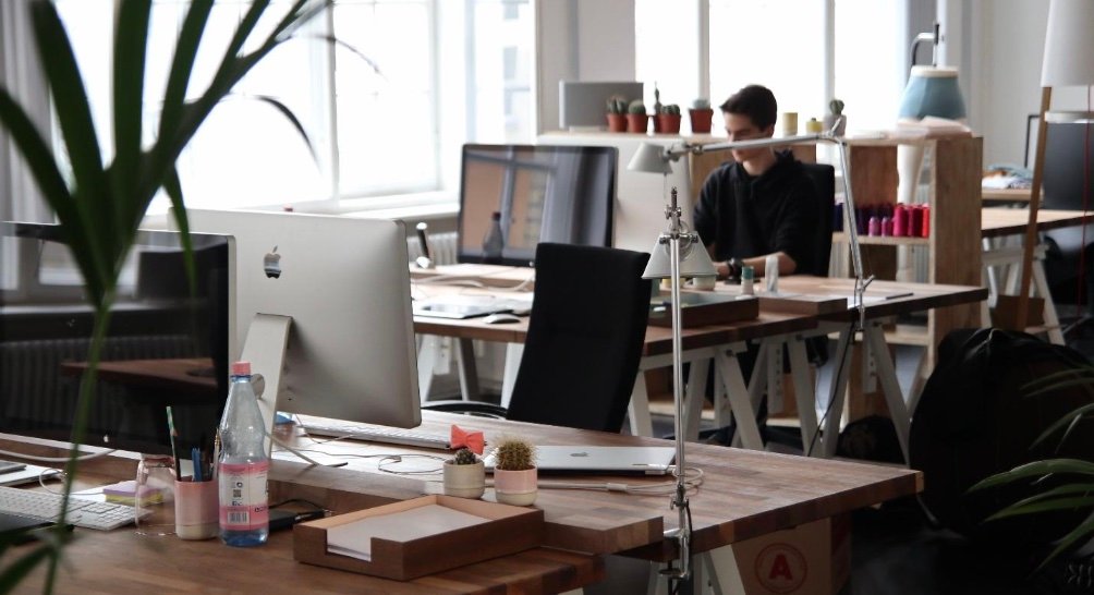 An employee with no work experience: to accept or not?