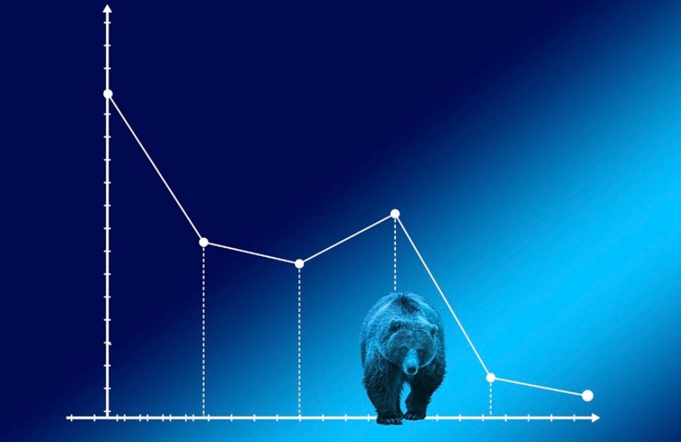 6 Timeless Investment Principles to Revisit in a Bear Market
