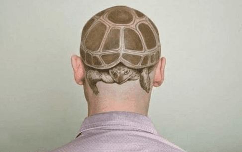 If You Really Want a Perpetual Turtle Head...
