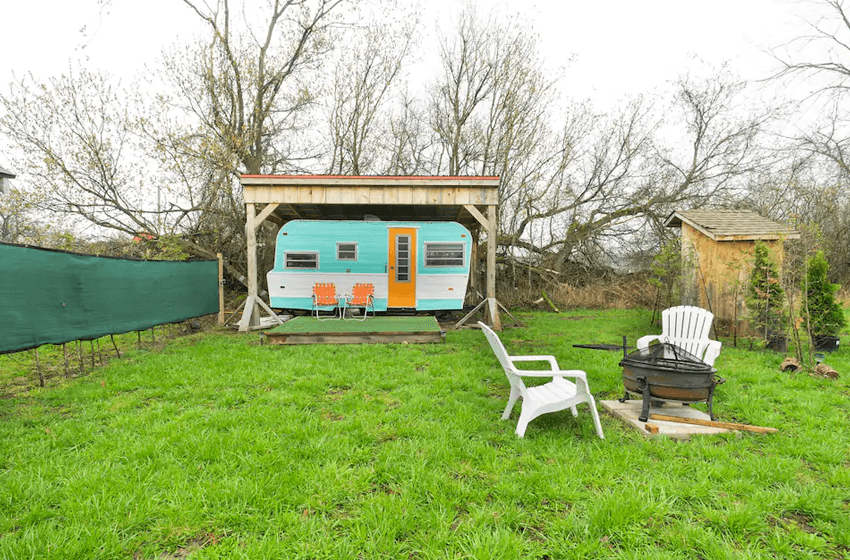 tutti on the farm