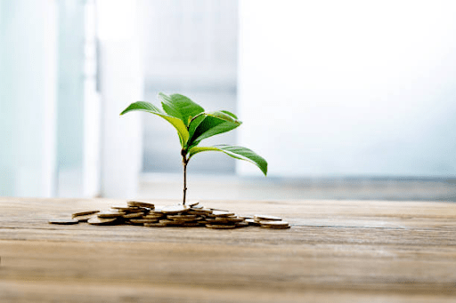 Which Gold IRA Company Is Right for You?