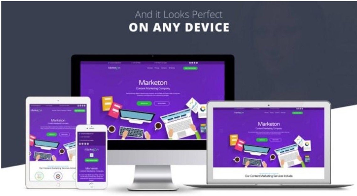 Best Responsive Website Templates for Business – Tips, Designs, Ideas