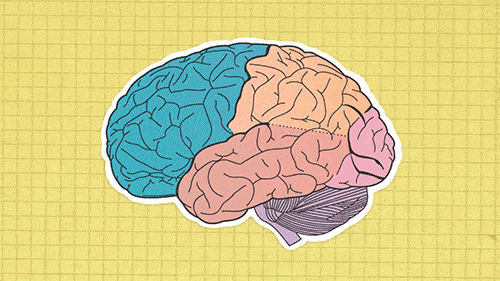 How to Use Psychology to Convert More Leads