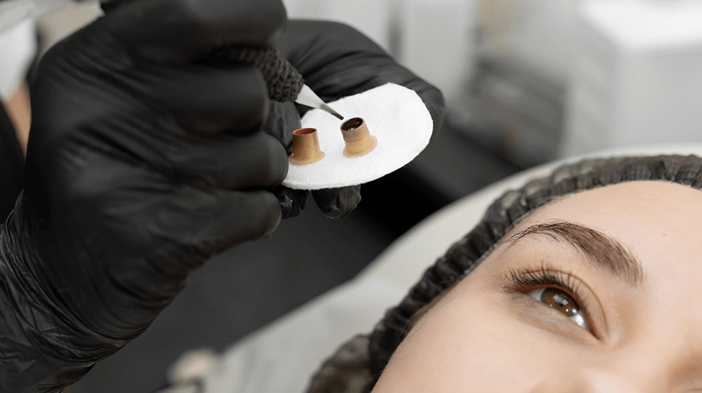 lash and brow franchise