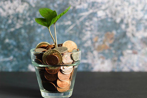 cup of change and plant growing out of it