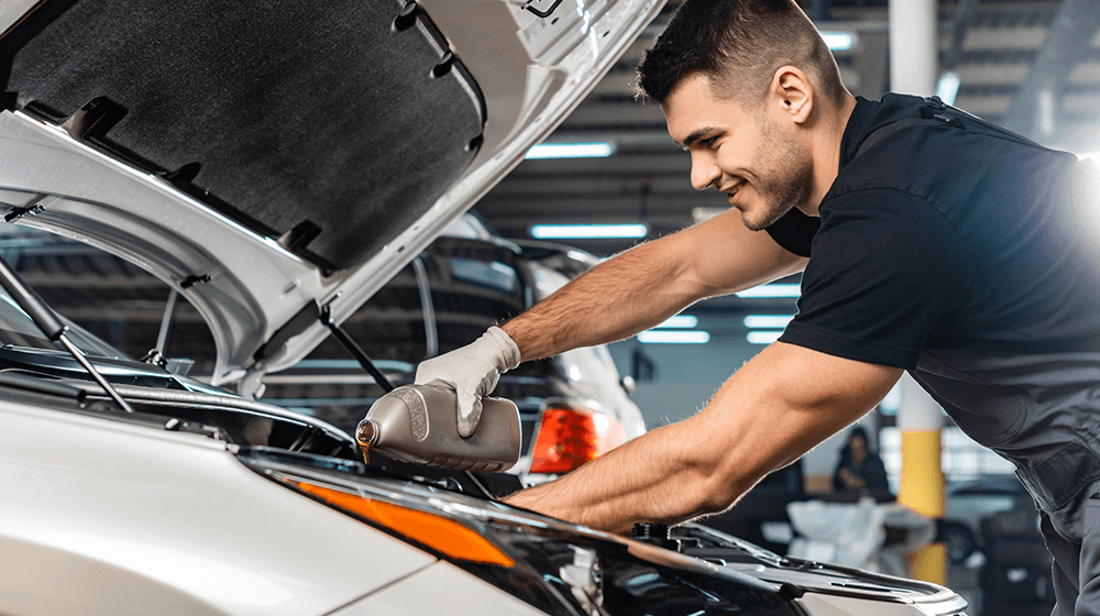 automotive franchises