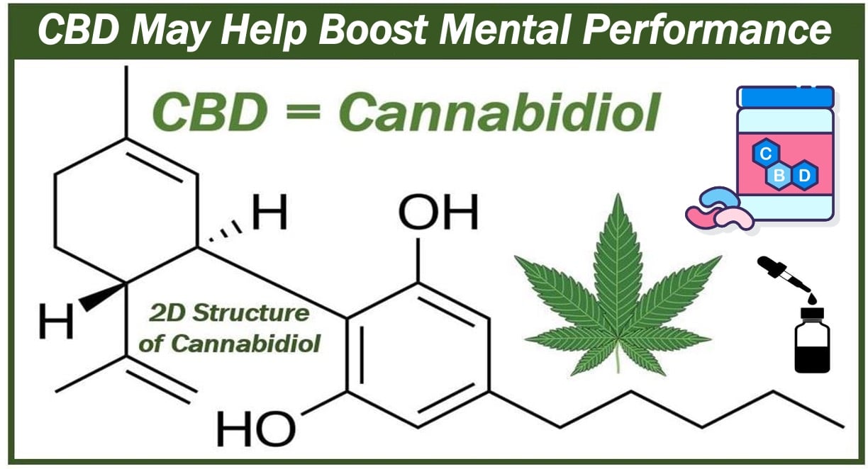 CBD may help improve mental performance