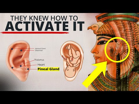 The Pineal Gland can be completely disrupted