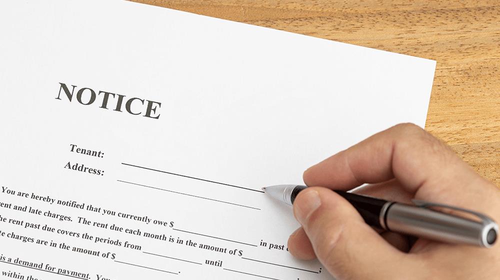 collection letter template 