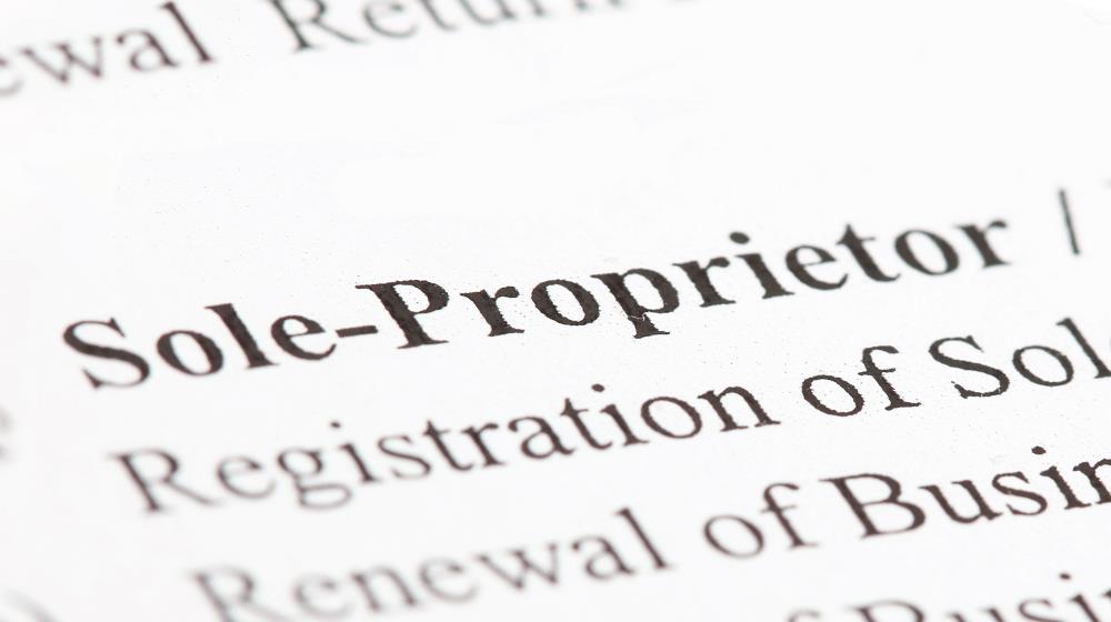 sole proprietor