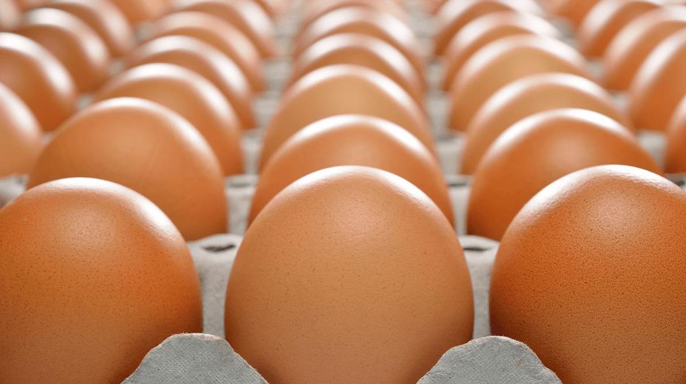 egg prices continue to rise