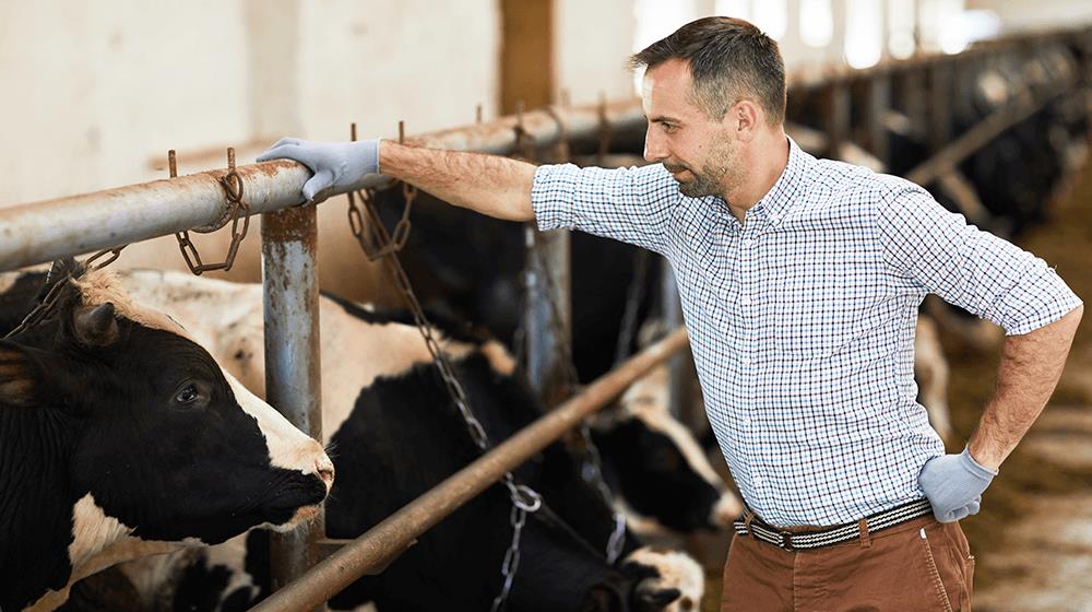grants for dairy businesses child care centers