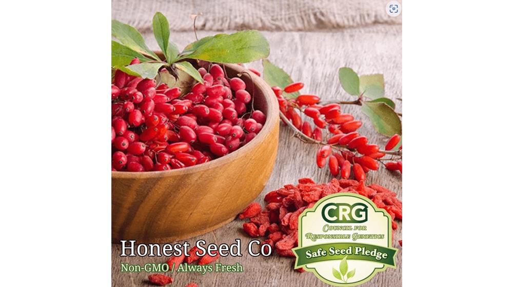Heirloom Goji Berry Seeds for Planting , Wolfberry , Non-GMO Garden Seeds
