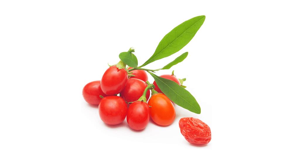 Earthcare Seeds Tibetan Goji Berry 100 Seeds