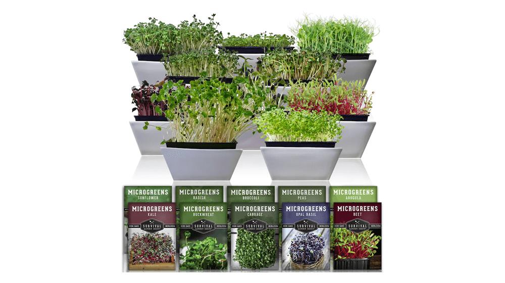 Microgreens Seeds - 10 Pack of Non-GMO Heirloom Microgreens Seeds- Arugula, Basil, Broccoli, Buckwheat, Radish, Sunflower & More
