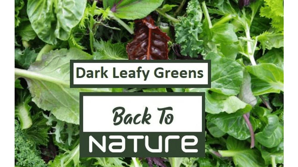 Dark Leafy Greens Microgreen Seed Blend - Organic & Non Gmo Microgreen Seeds - Heirloom Seeds - Grow Your Own Microgreens Right At Home!
