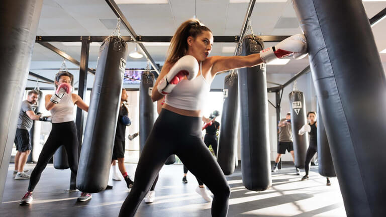 Profitable TITLE Boxing Gym