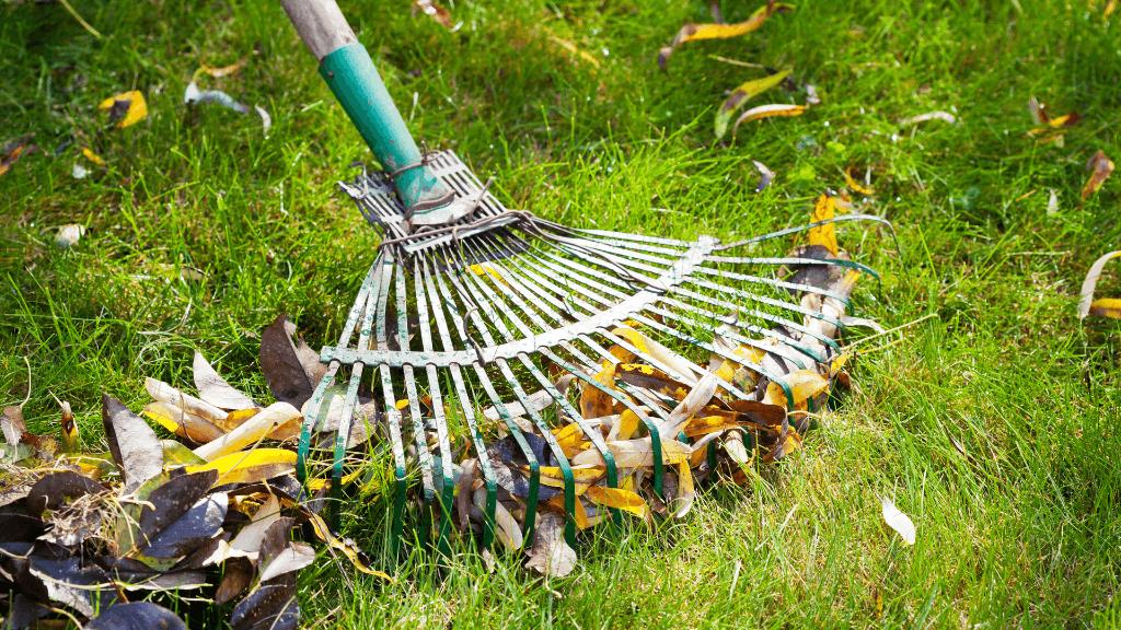 Discover 500+ lawn care business names and learn expert tips for naming your lawn care company with our comprehensive guide. 