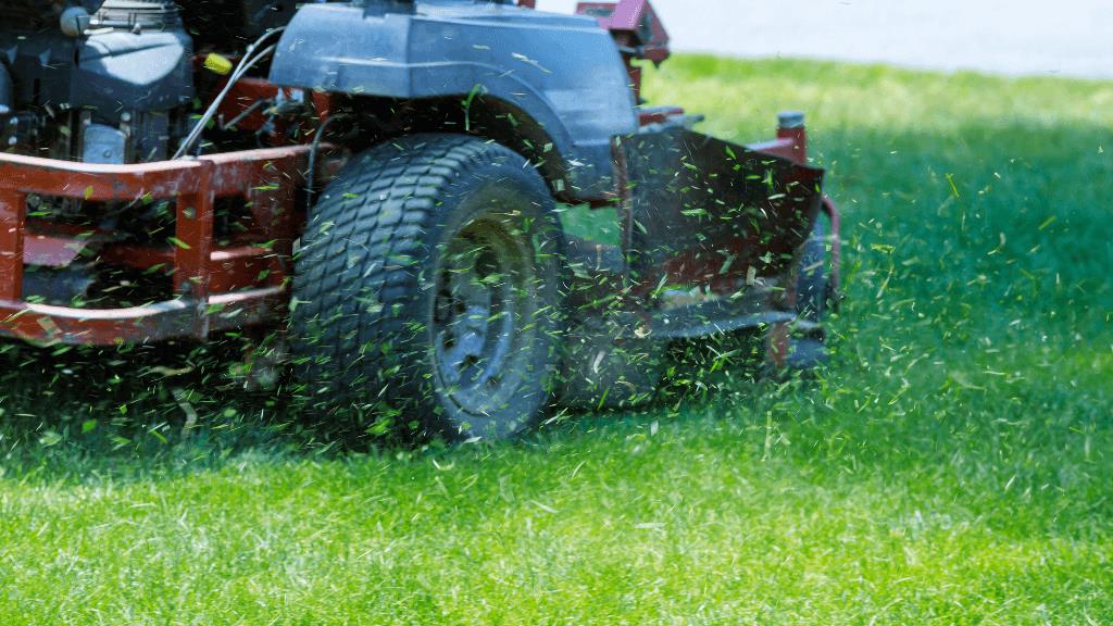 Discover 500+ lawn care business names and learn expert tips for naming your lawn care company with our comprehensive guide. 
